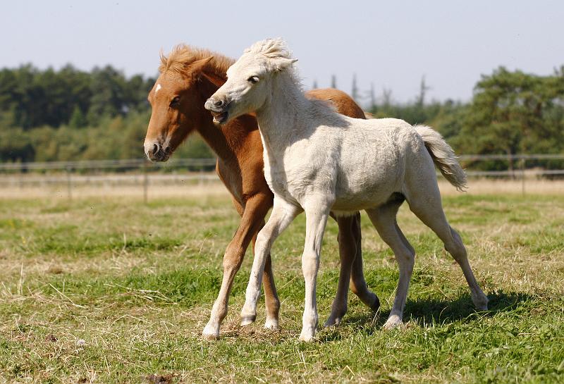 Sola und Rikardur.jpg